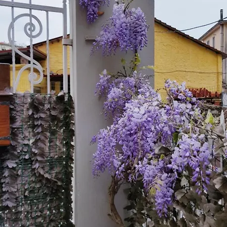La Mini Casa Appartamento